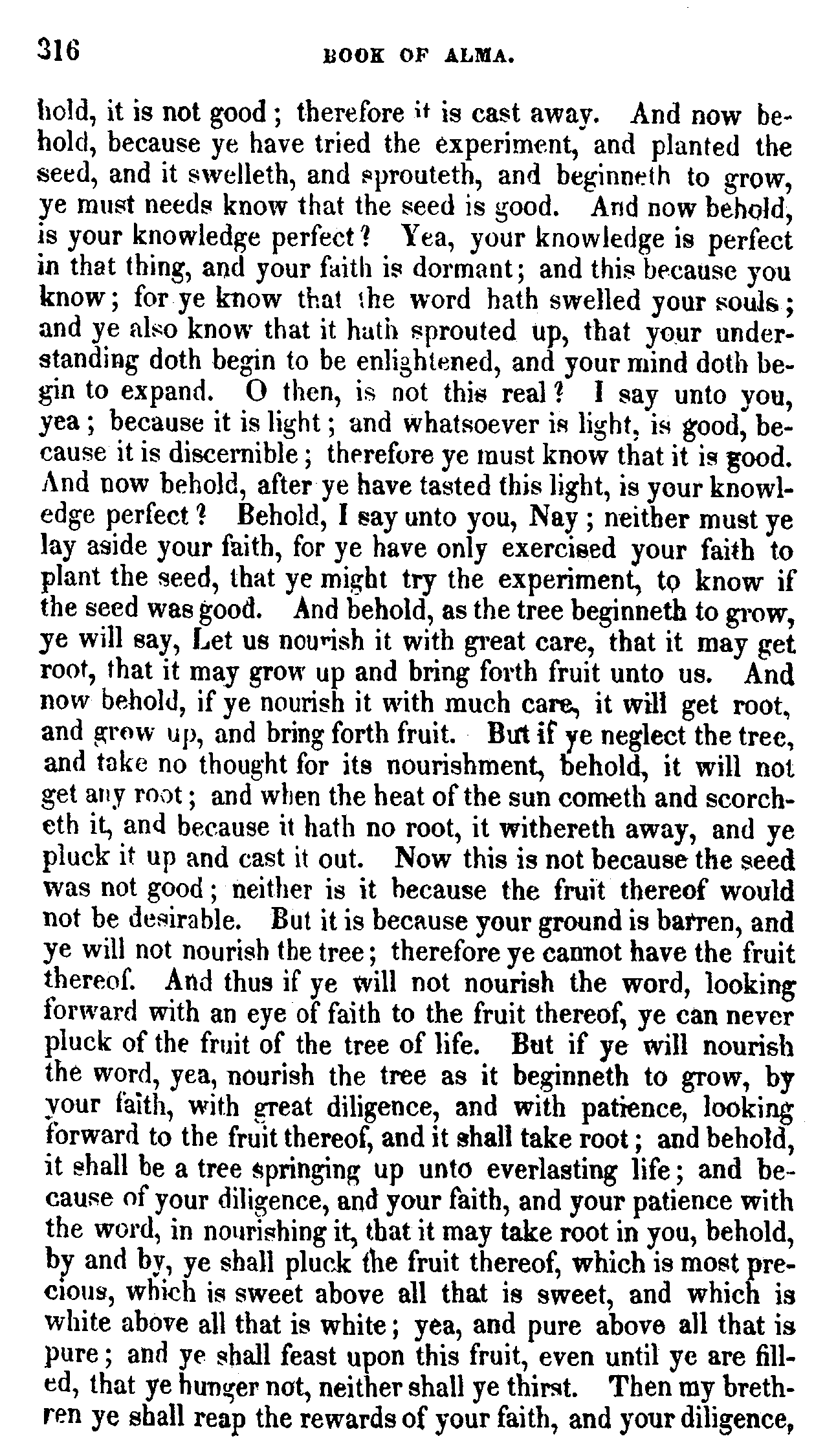 Book Of Mormon - Alma - Page 316