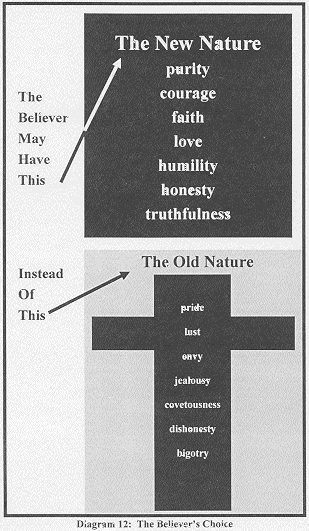 Diagram showing new nature in a box and old nature on the cross