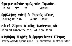 Greek text for John 1:42 JST