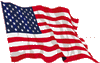 USA Flag